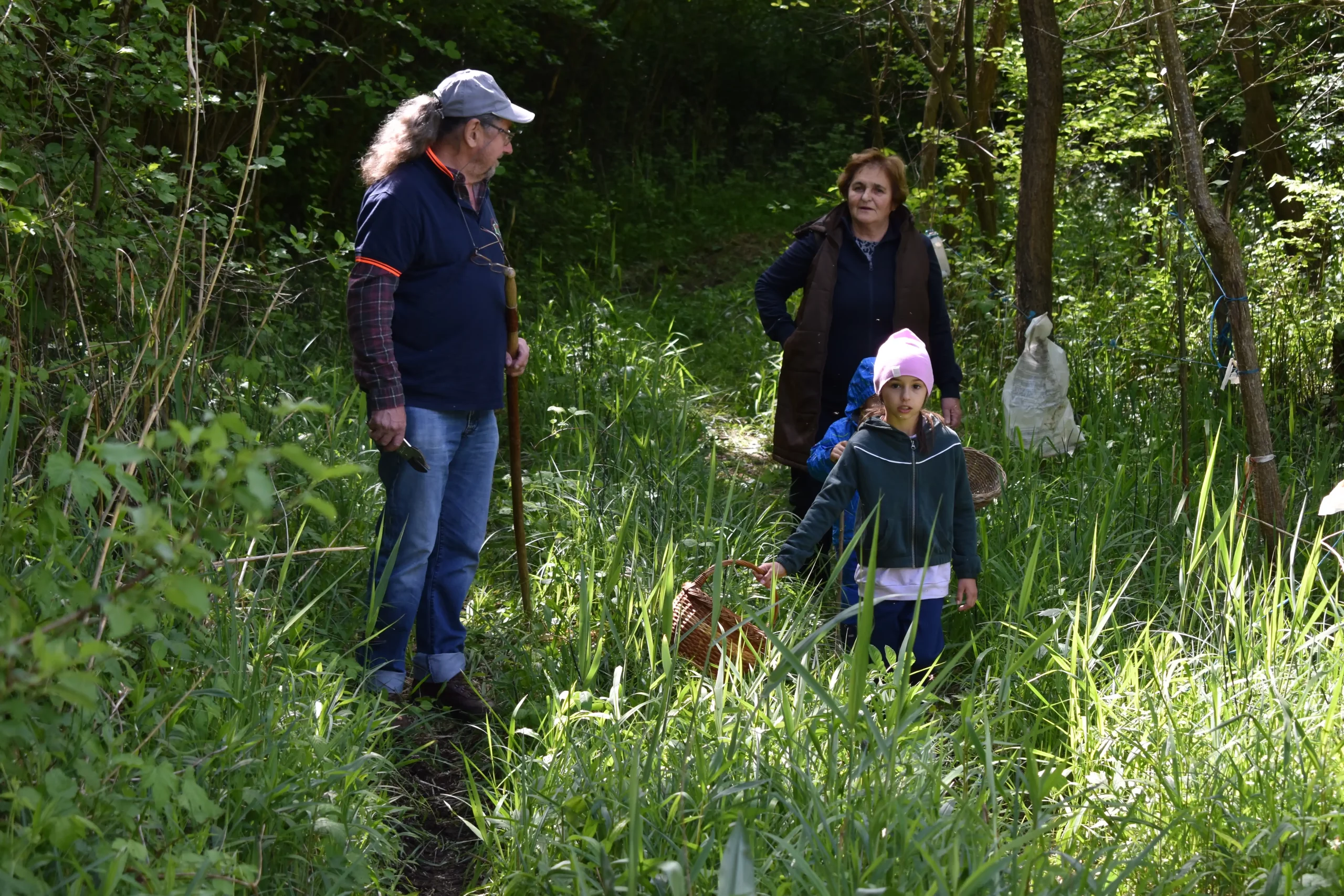 smrčkijada,nedelišće,mesap, (15) smrčkijada,nedelišće,mesap, (15)
