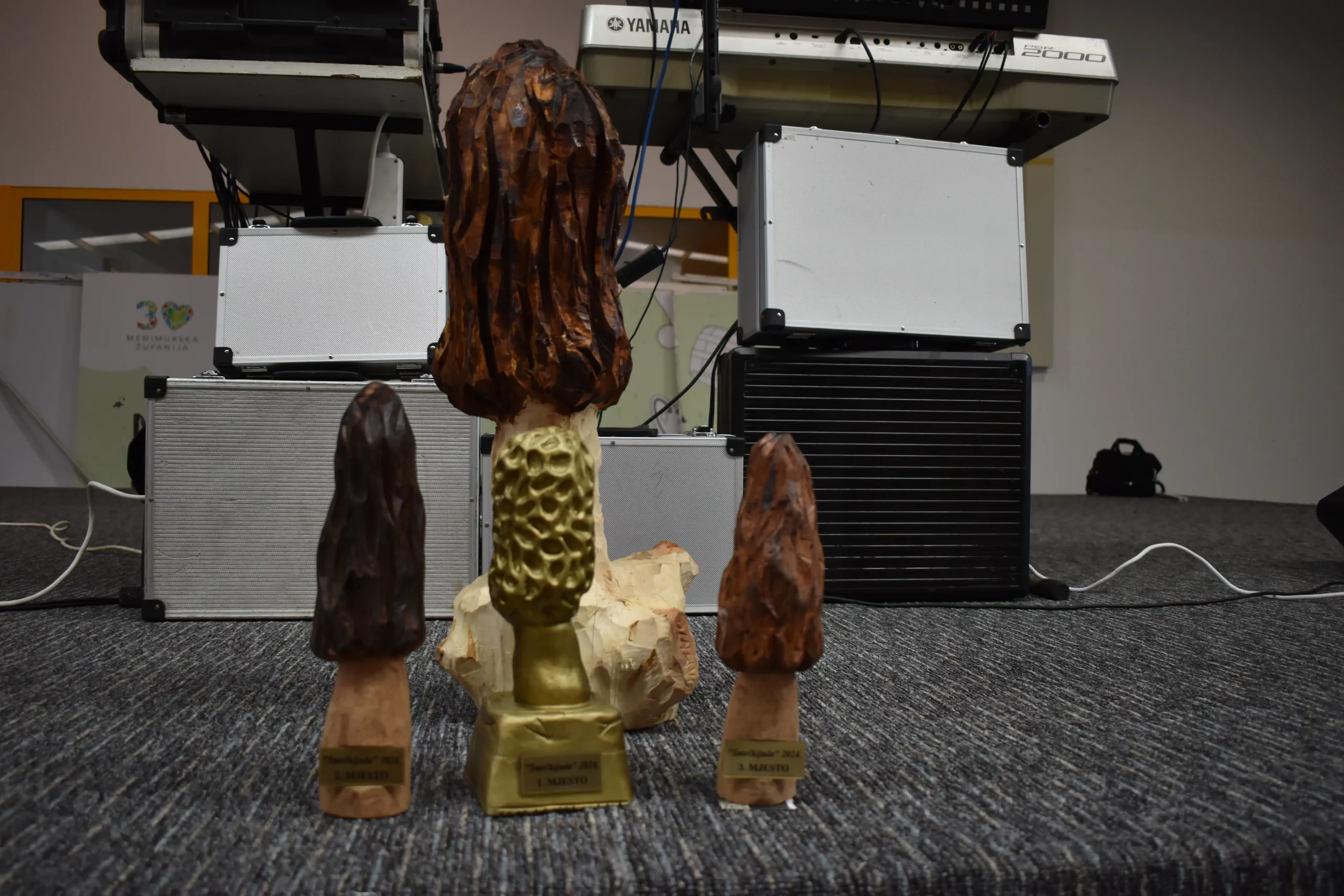 smrčkijada,nedelišće,mesap, (4) smrčkijada,nedelišće,mesap, (4)