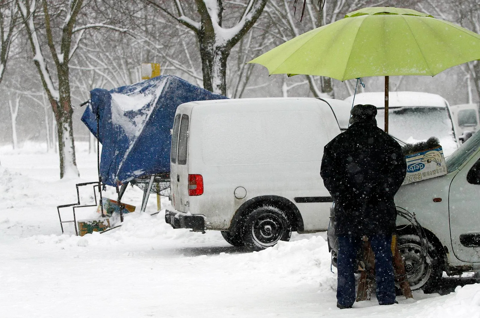 snijeg 2013. (3) snijeg 2013. (3)