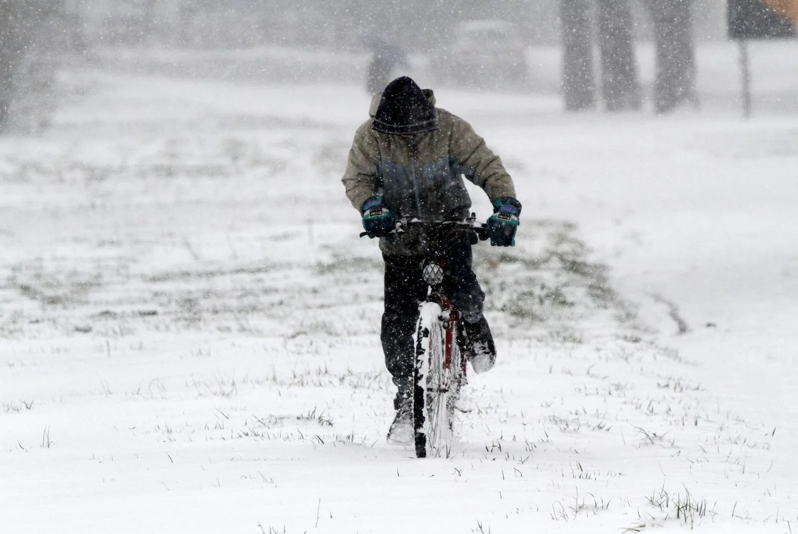 snijeg 2013. (4) snijeg 2013. (4)