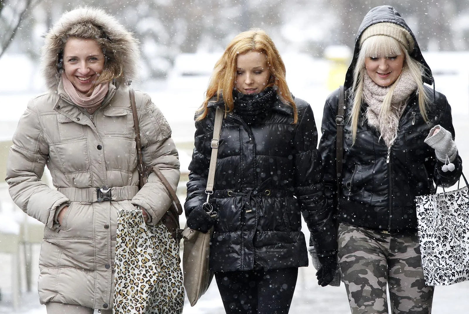 snijeg 2013. (6) snijeg 2013. (6)