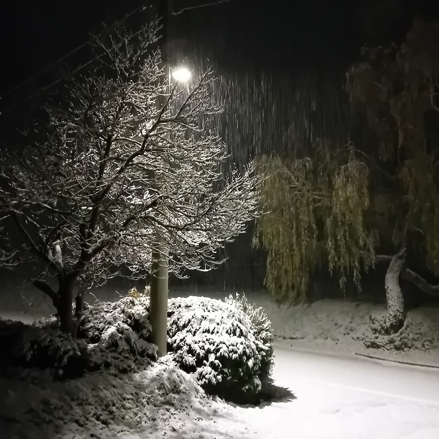 snijeg, 22.11 (11) snijeg, 22.11 (11)