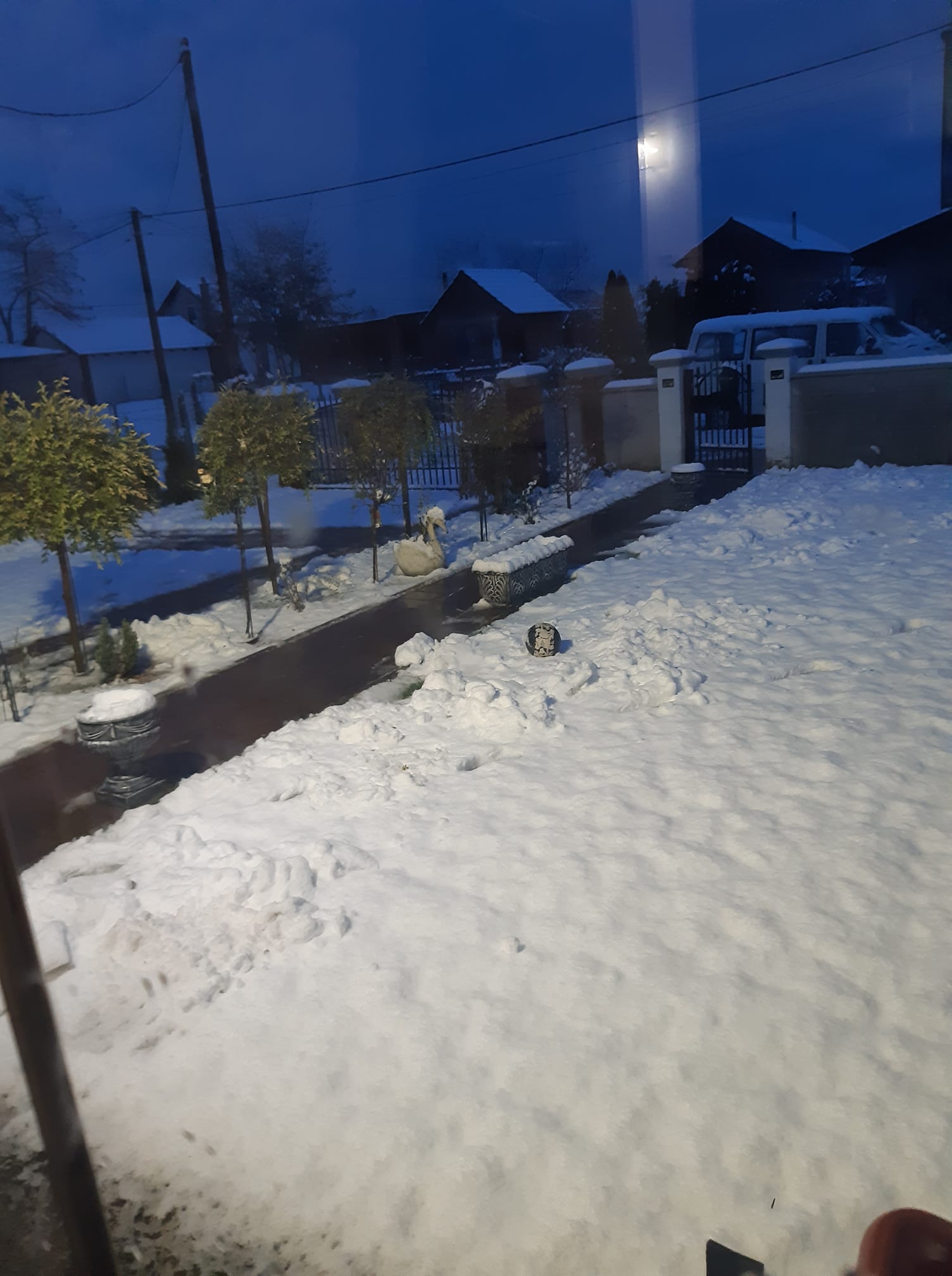 snijeg, 22.11 (12) snijeg, 22.11 (12)