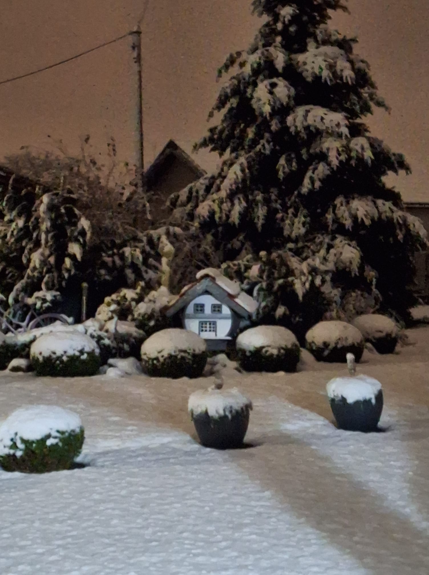 snijeg, 22.11 (4) snijeg, 22.11 (4)