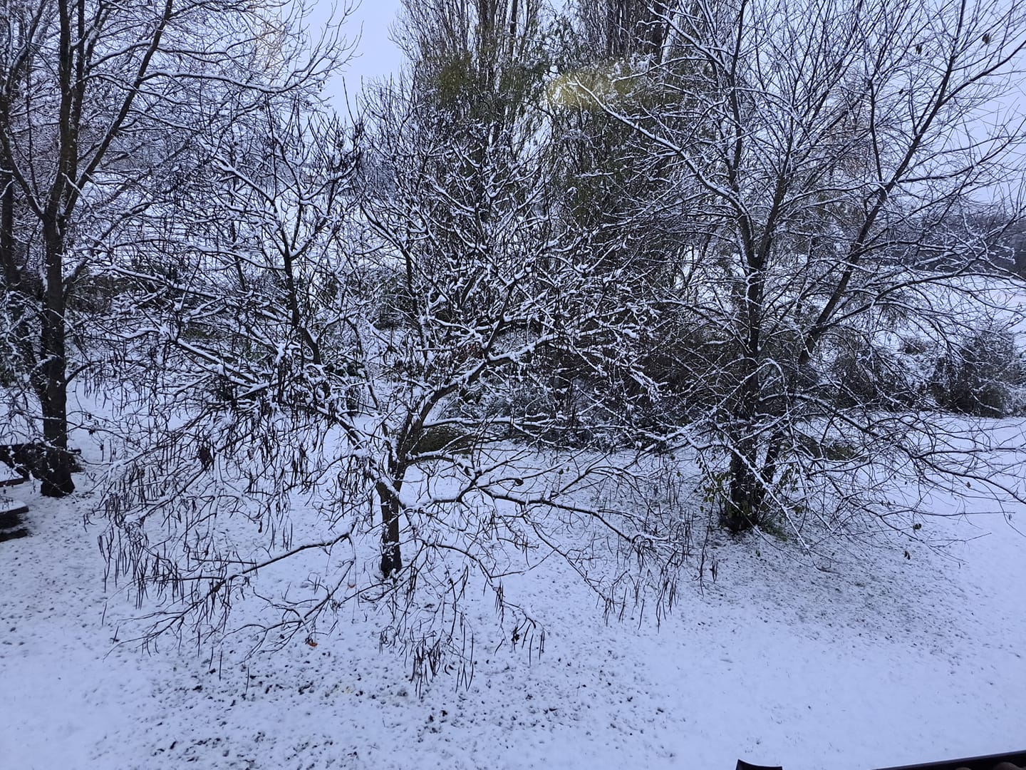 snijeg, 22.11 (5) snijeg, 22.11 (5)