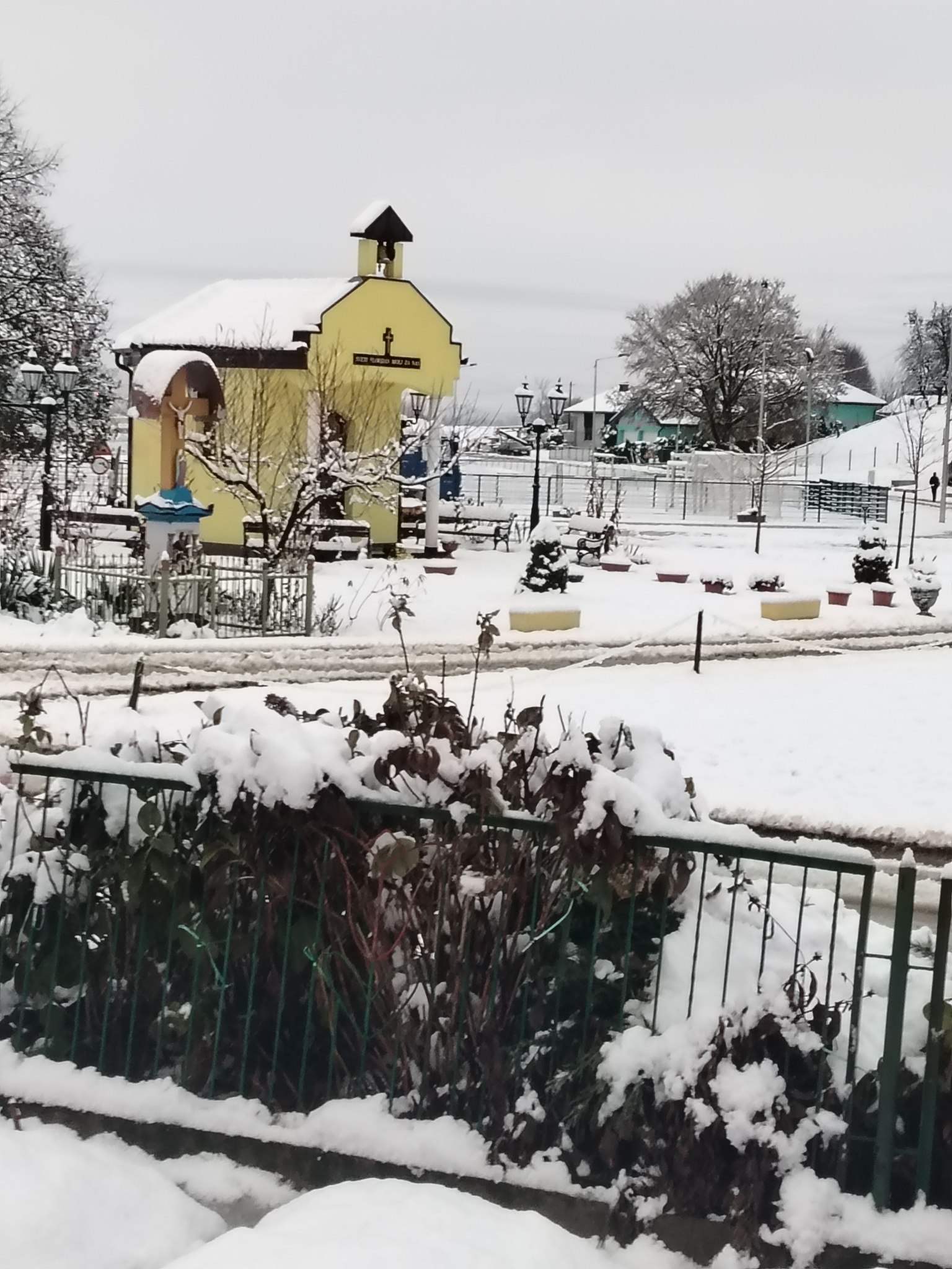 snijeg, 22.11 (7) snijeg, 22.11 (7)