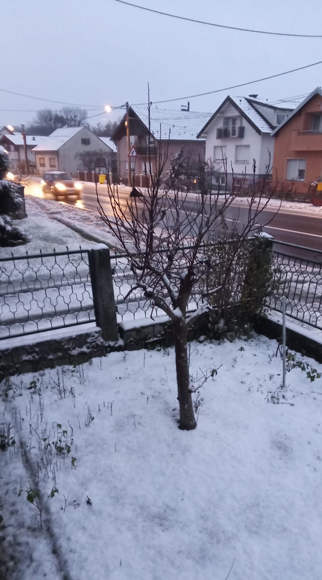 snijeg, 22.11 (9) snijeg, 22.11 (9)