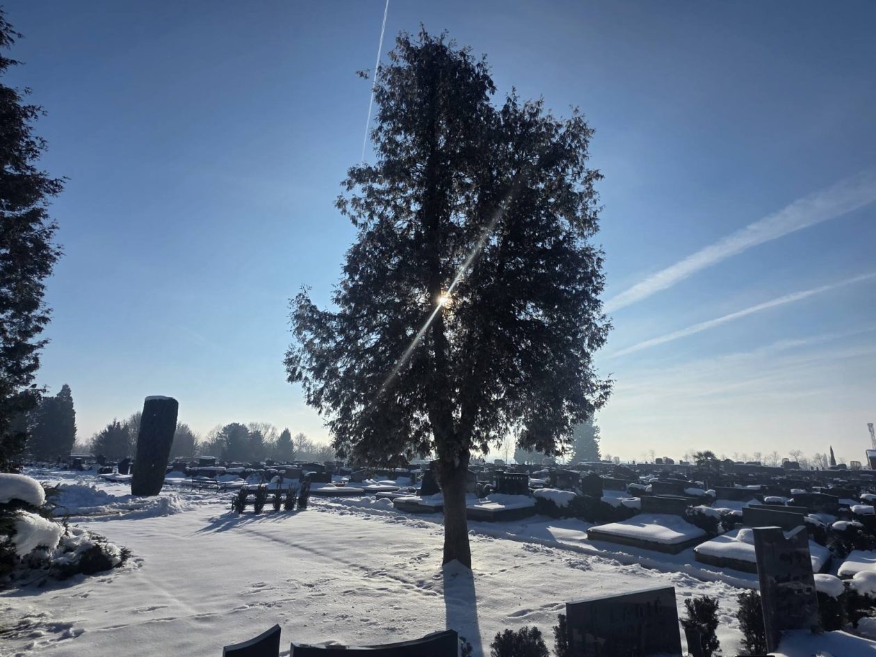 snijeg groblje čakovec (3)