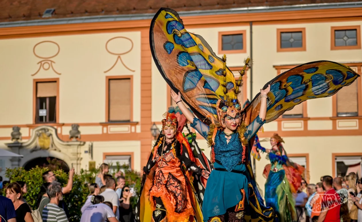 špancirfest 2025 (3)