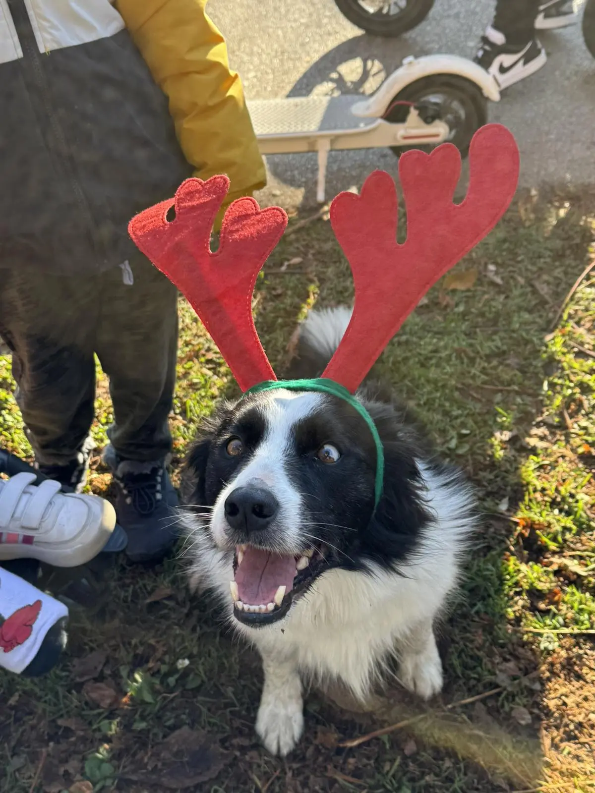 sportski advent (7) sportski advent (7)