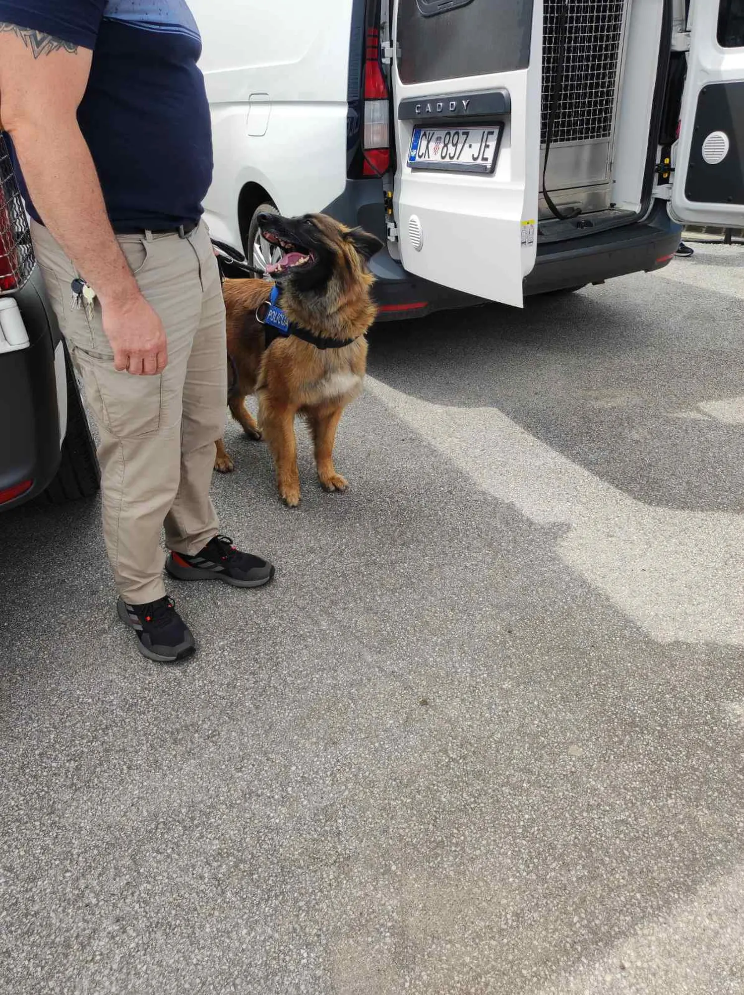 spportske igre mladih prelog 29.5.2024 (39) spportske igre mladih prelog 29.5.2024 (39)