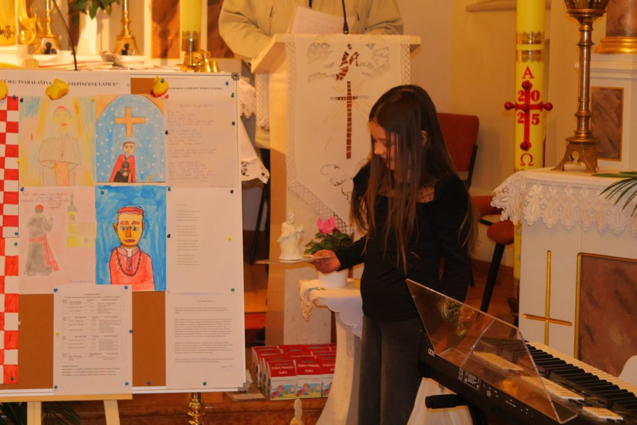 stepinčevo Ivanovec (11)