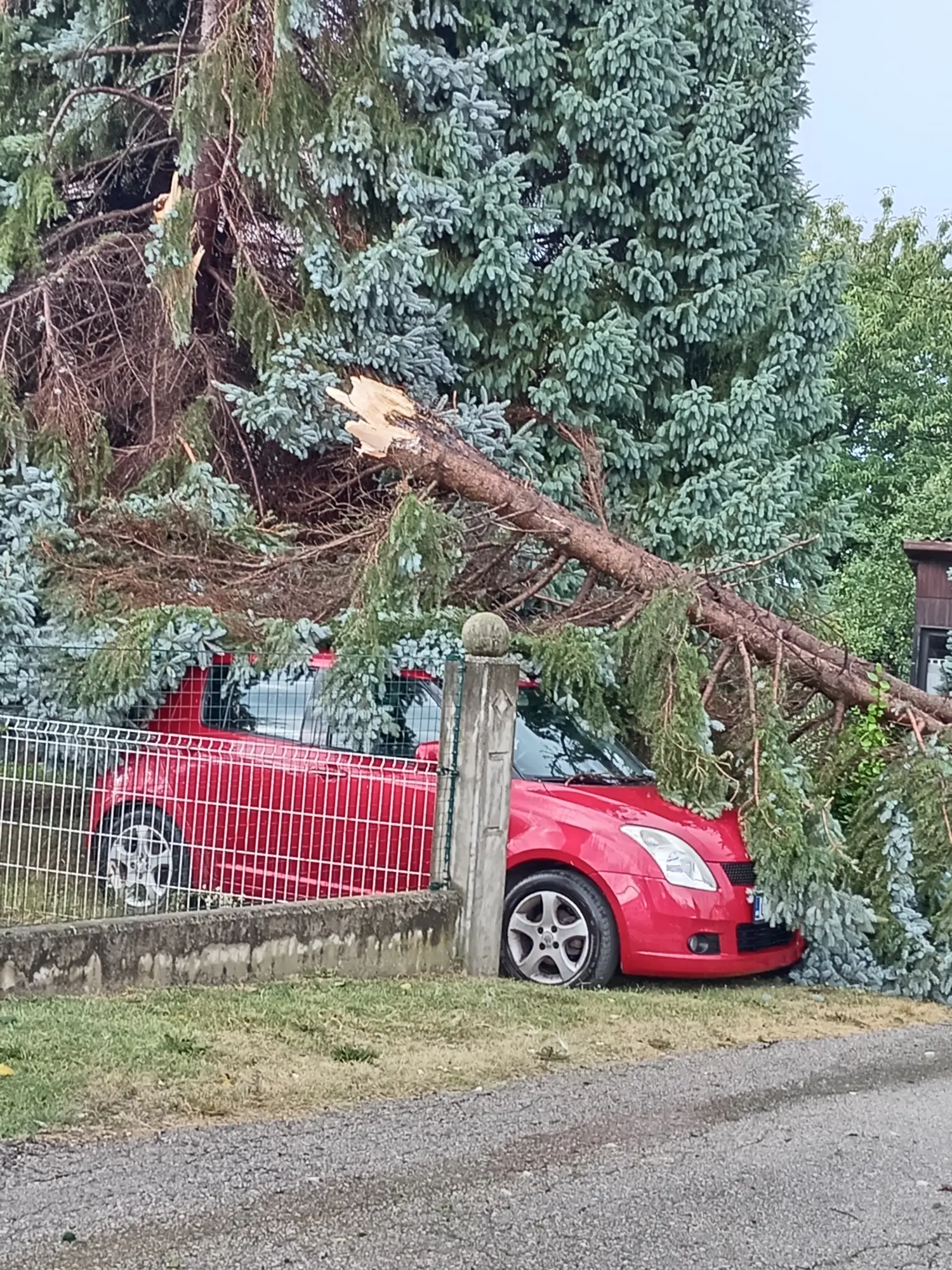 šteta, nevrijeme,tuča (4)