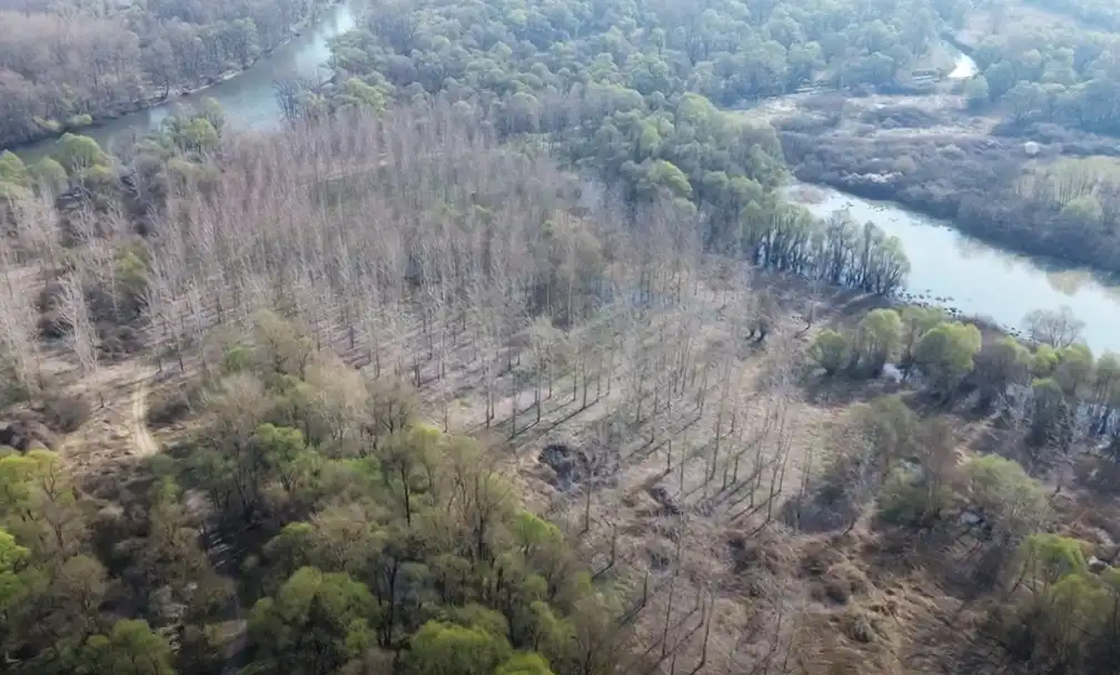 sto je vjetrusa vidjela – Lastrec sto je vjetrusa vidjela – Lastrec