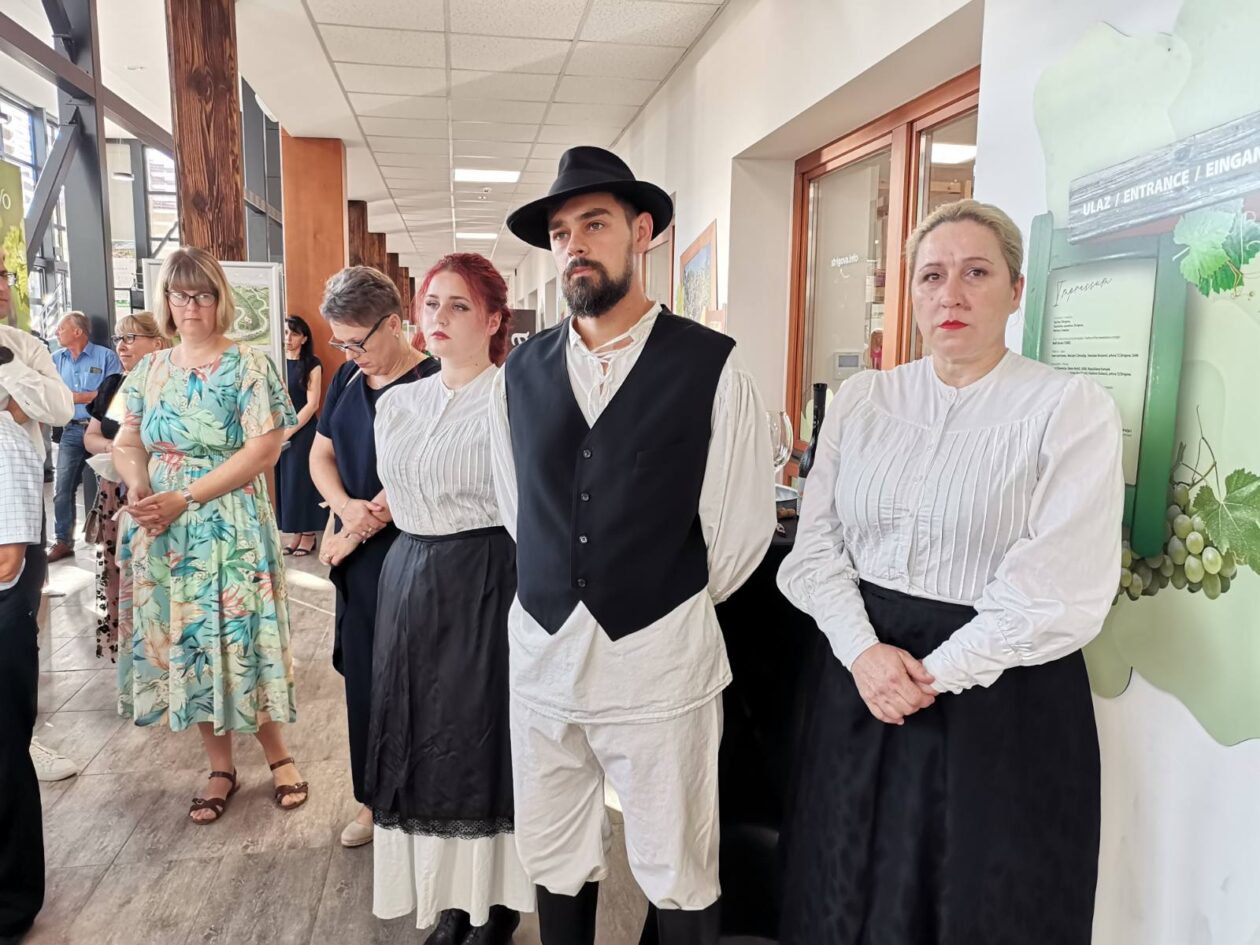 štrigova 19 štrigova 19