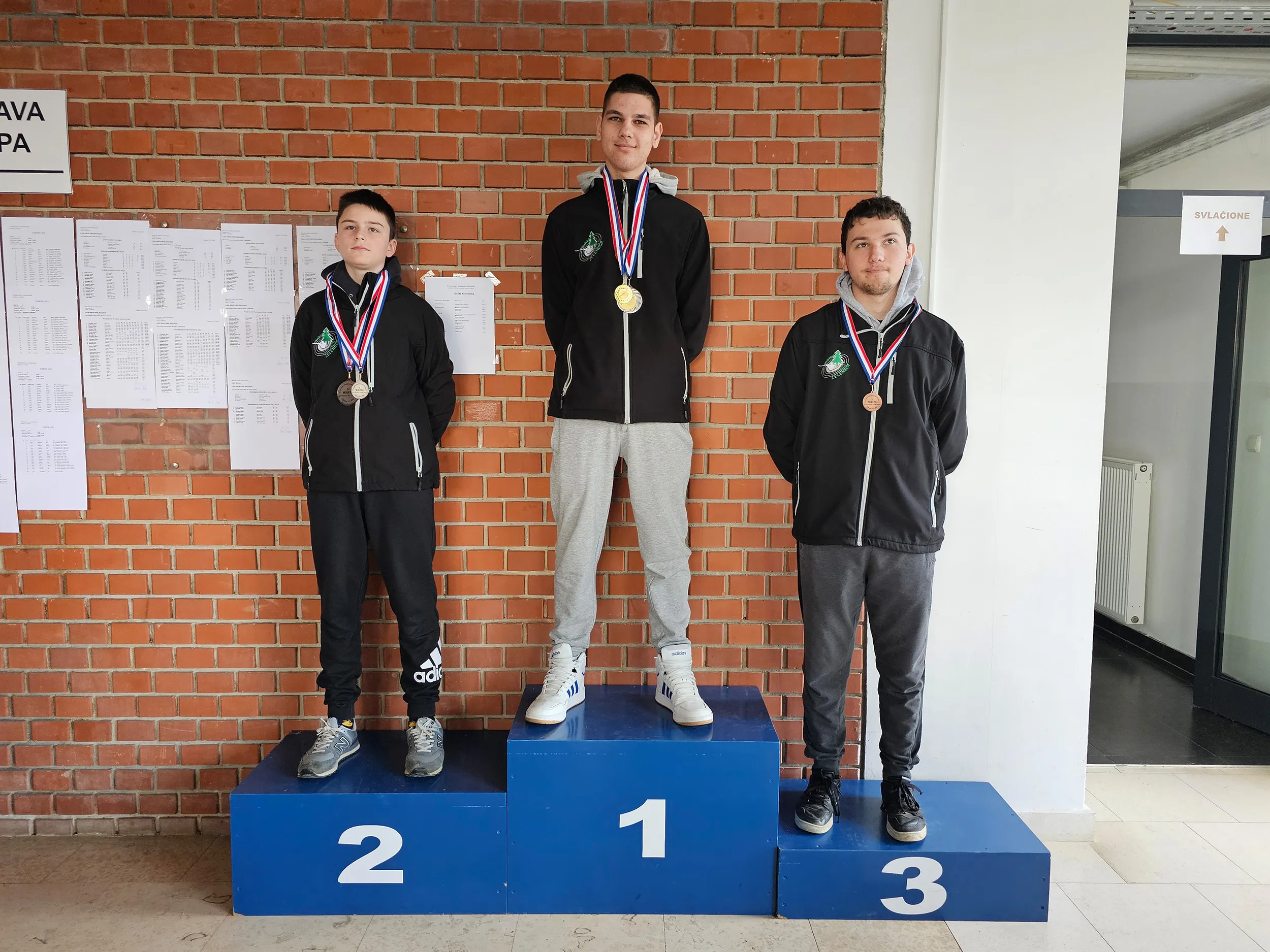 strljaštvo (1) strljaštvo (1)