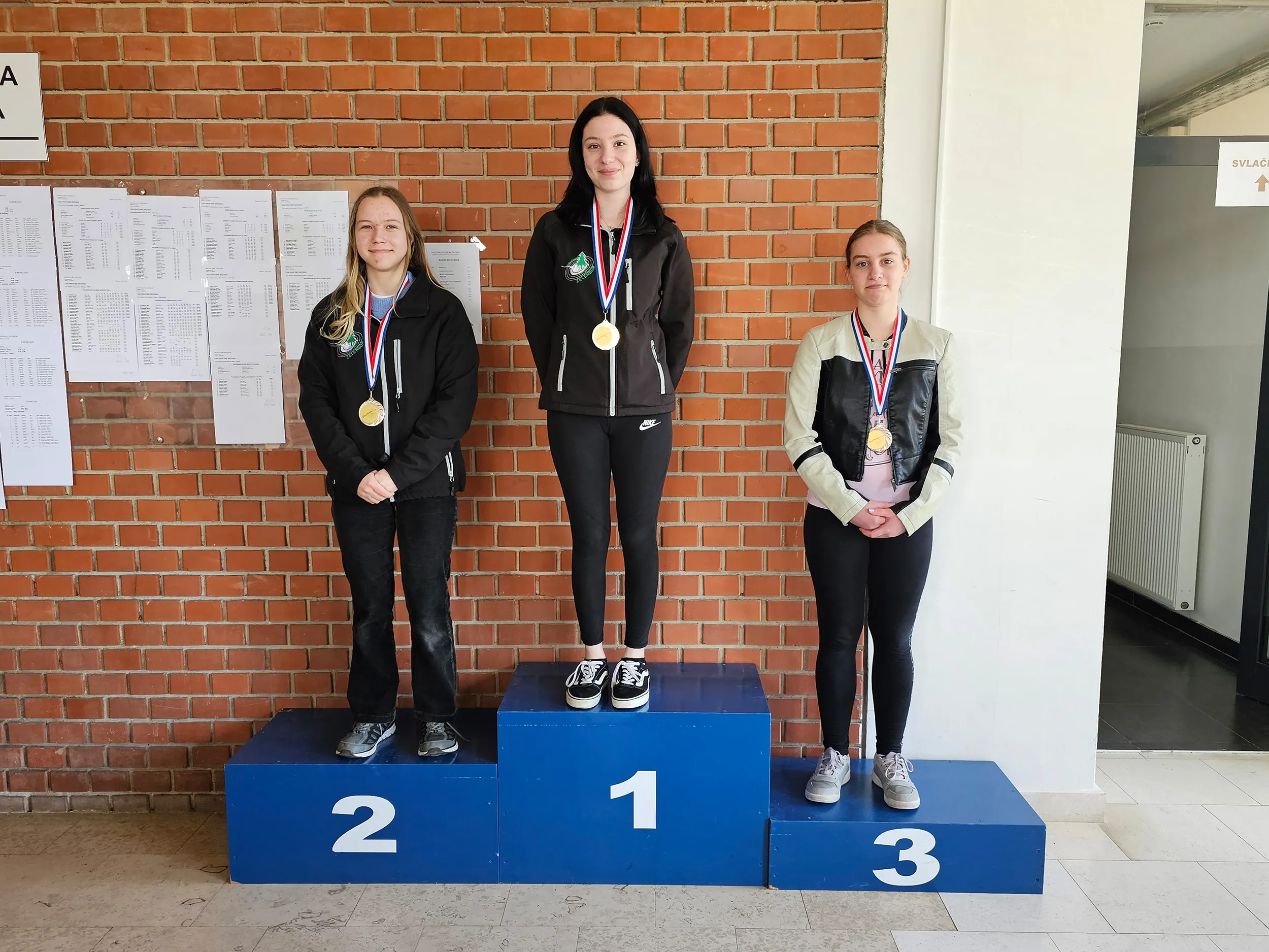 strljaštvo (4) strljaštvo (4)