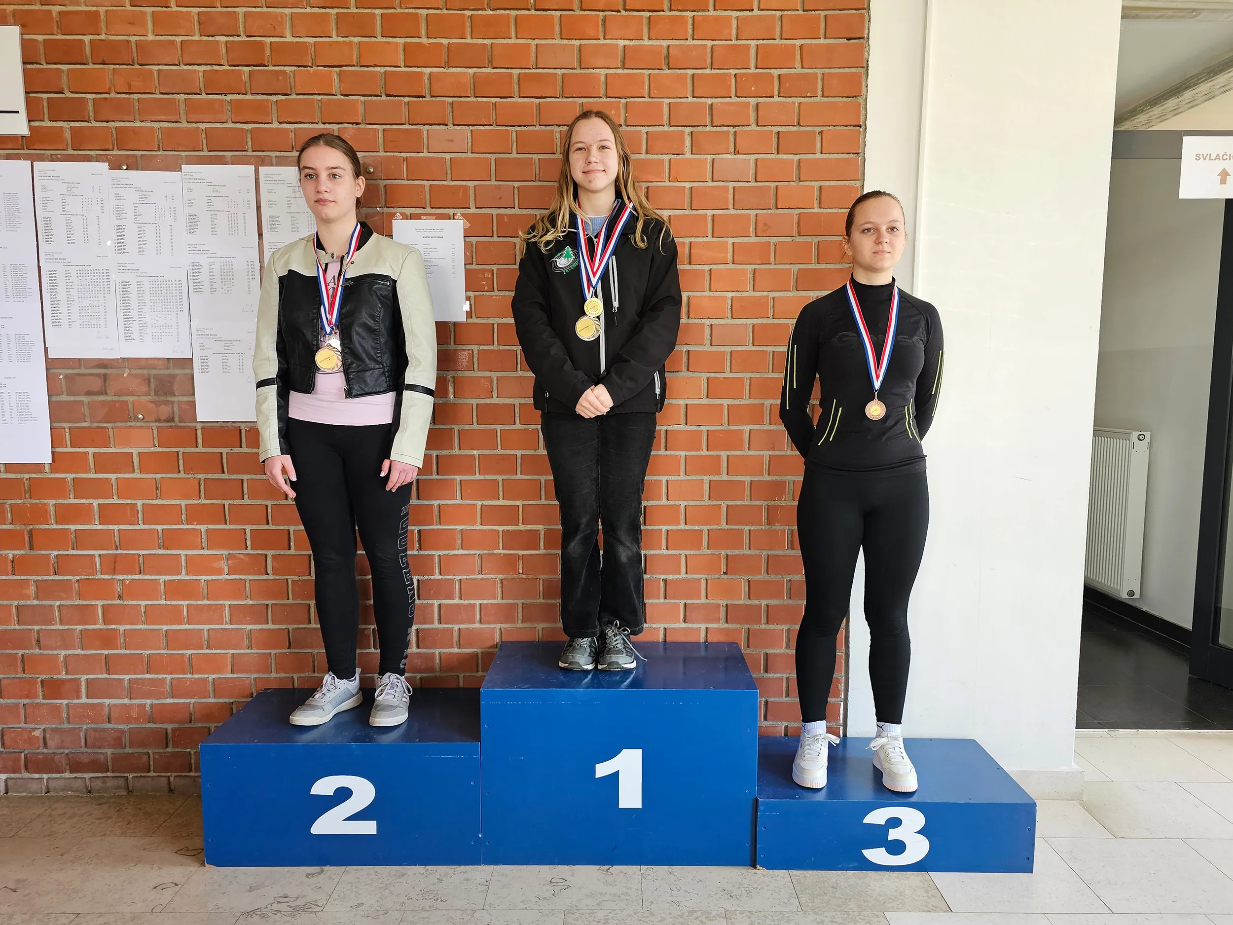 strljaštvo (5) strljaštvo (5)