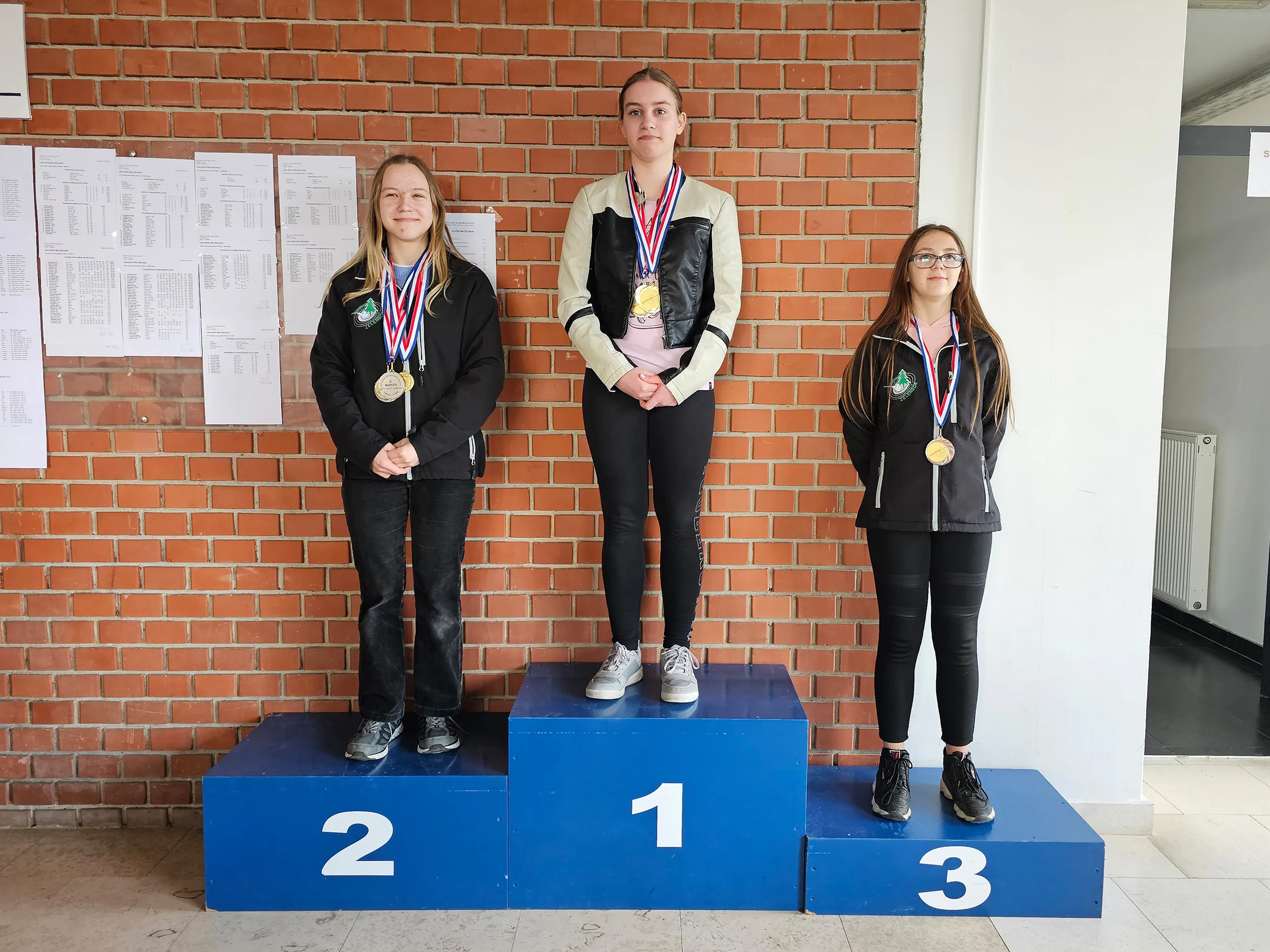 strljaštvo (6) strljaštvo (6)