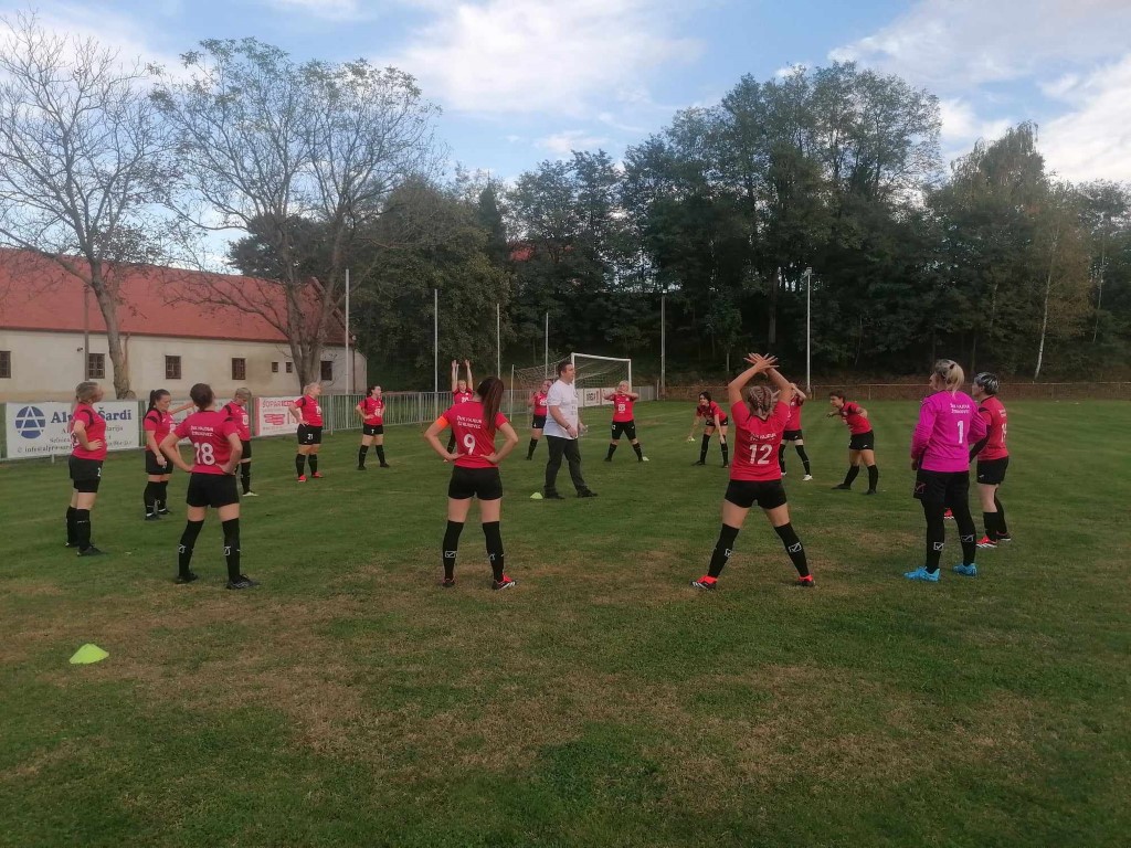 strukovec zibekice (10) (Medium)