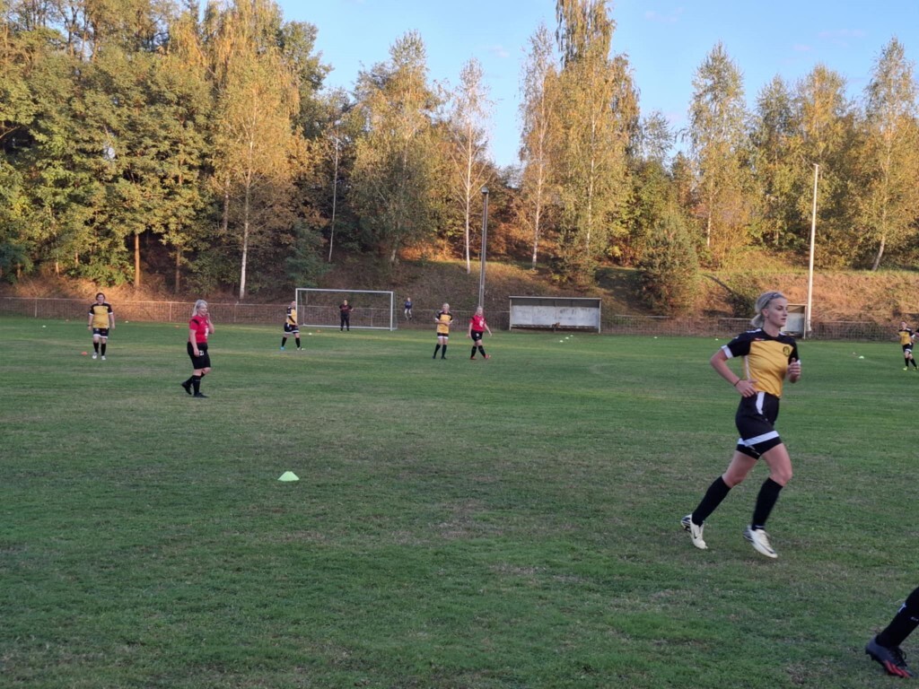 strukovec zibekice (11) (Medium)