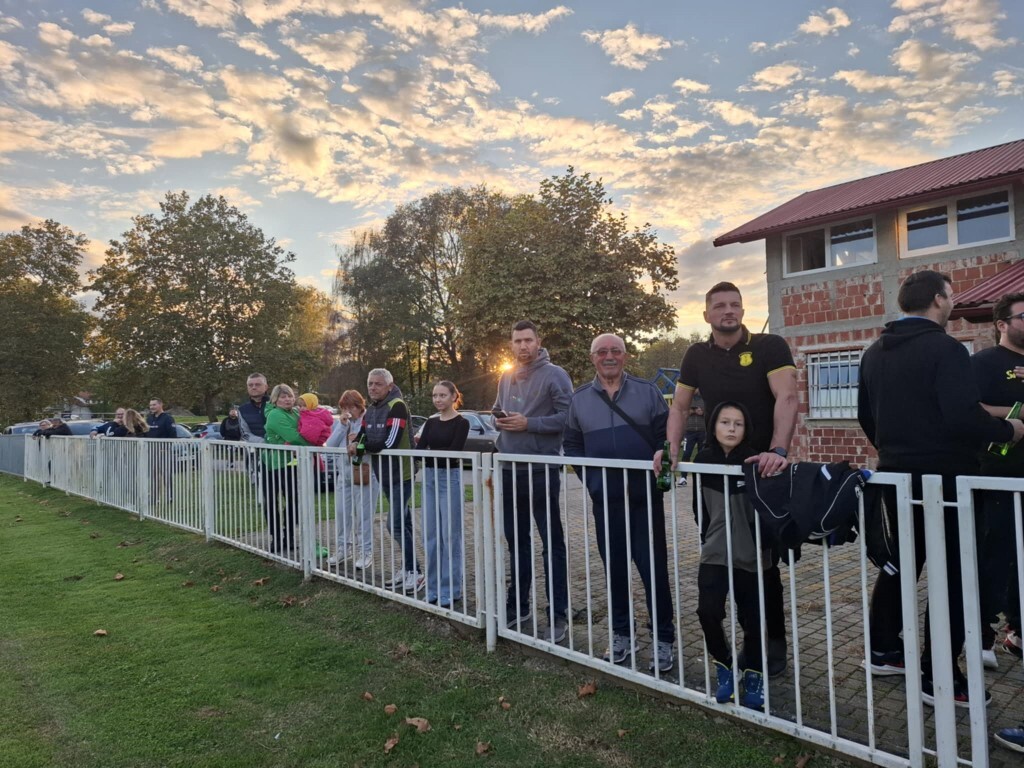 strukovec zibekice (13) (Medium)