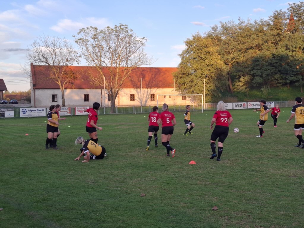 strukovec zibekice (14) (Medium)