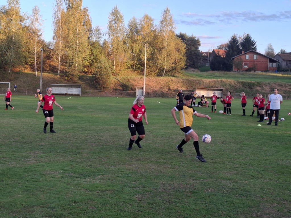 strukovec zibekice (15) (Medium)