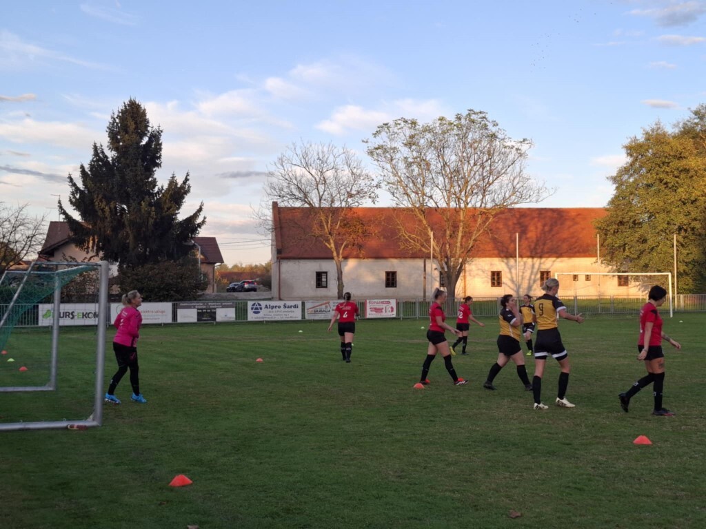 strukovec zibekice (16) (Medium)