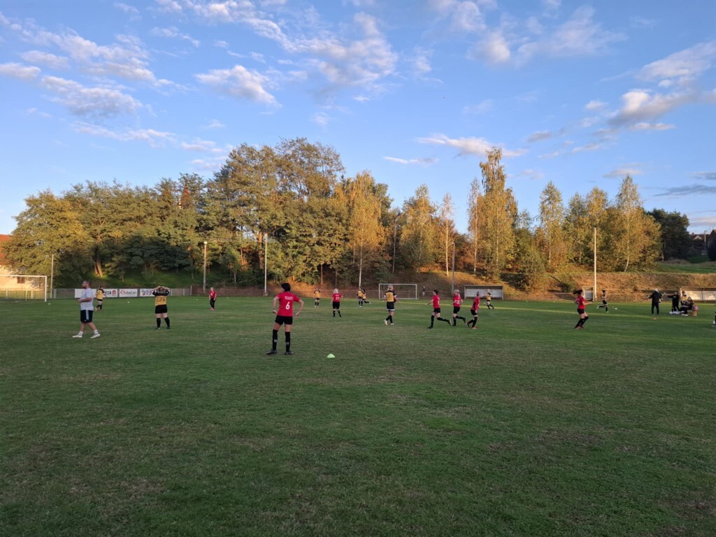 strukovec zibekice (17) (Medium)