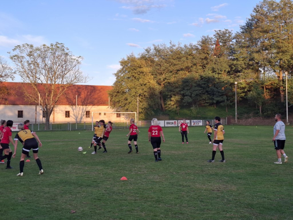 strukovec zibekice (18) (Medium)