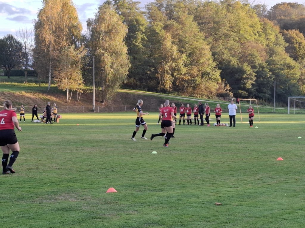 strukovec zibekice (20) (Medium)