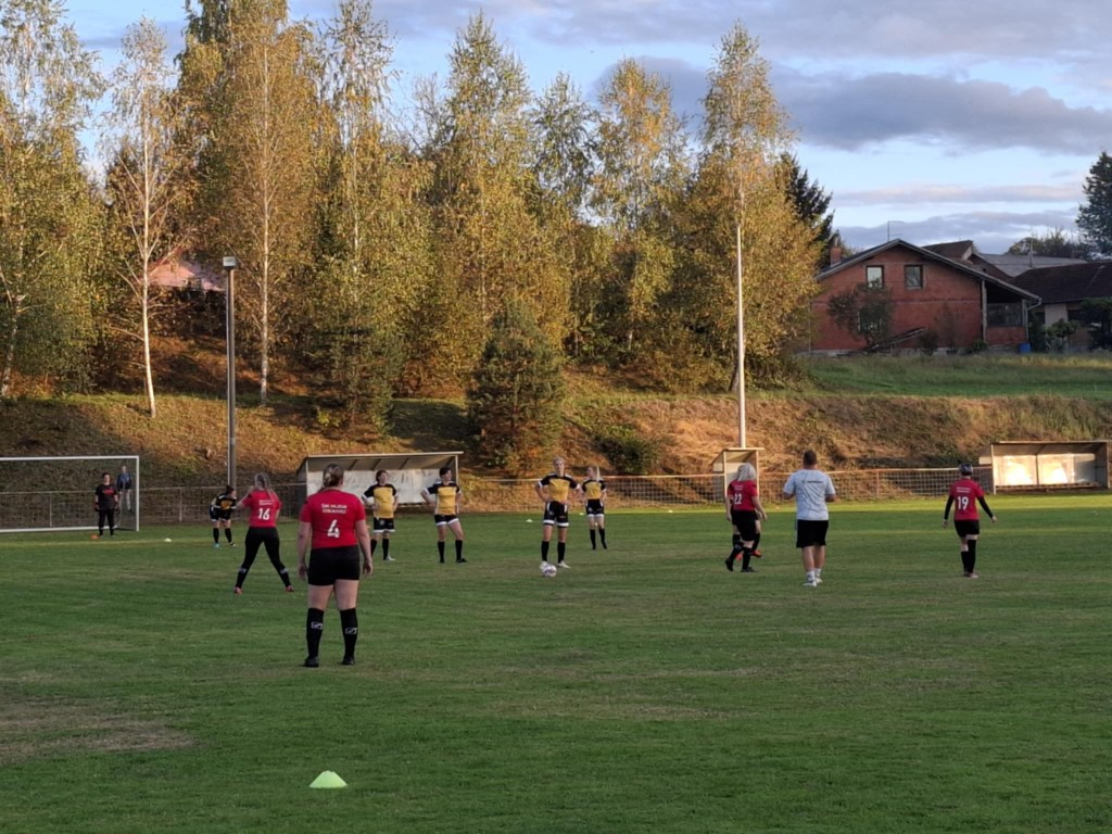 strukovec zibekice (22) (Medium)