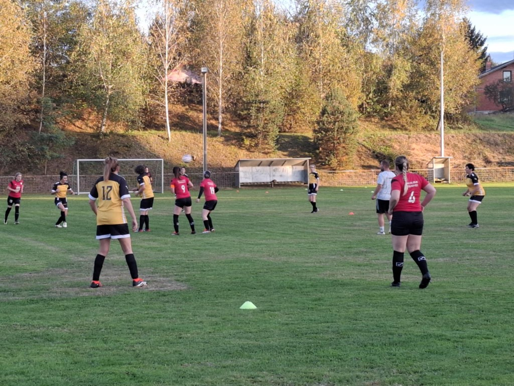 strukovec zibekice (24) (Medium)