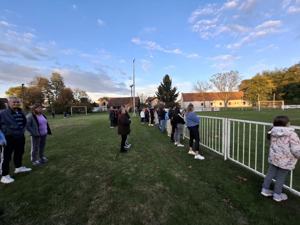 strukovec zibekice (3) (Medium)