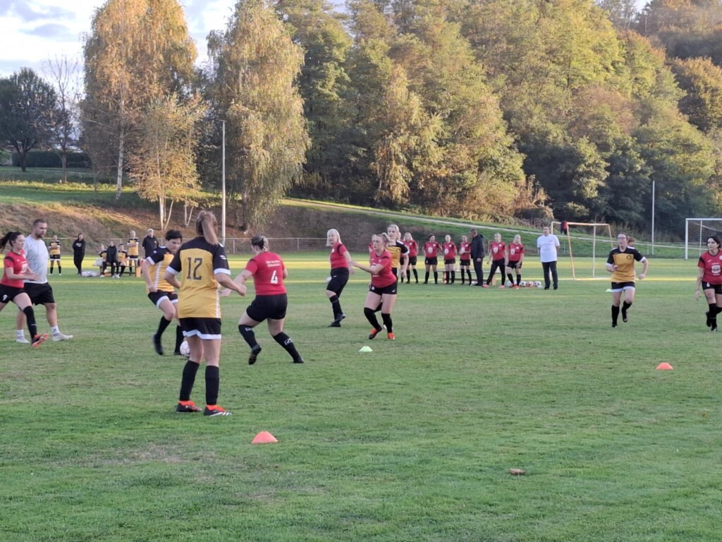 strukovec zibekice (9) (Medium)