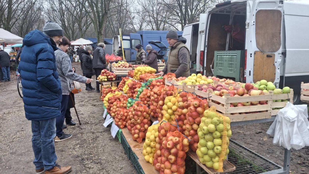 studeni sajam srijedom (15)