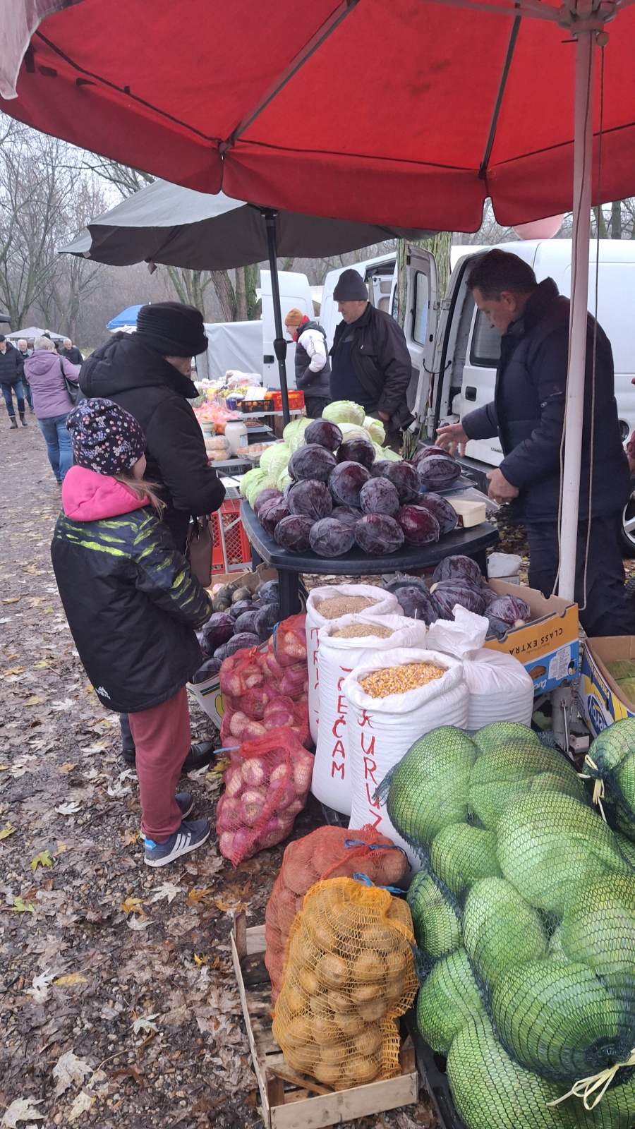 studeni sajam srijedom (17) studeni sajam srijedom (17)