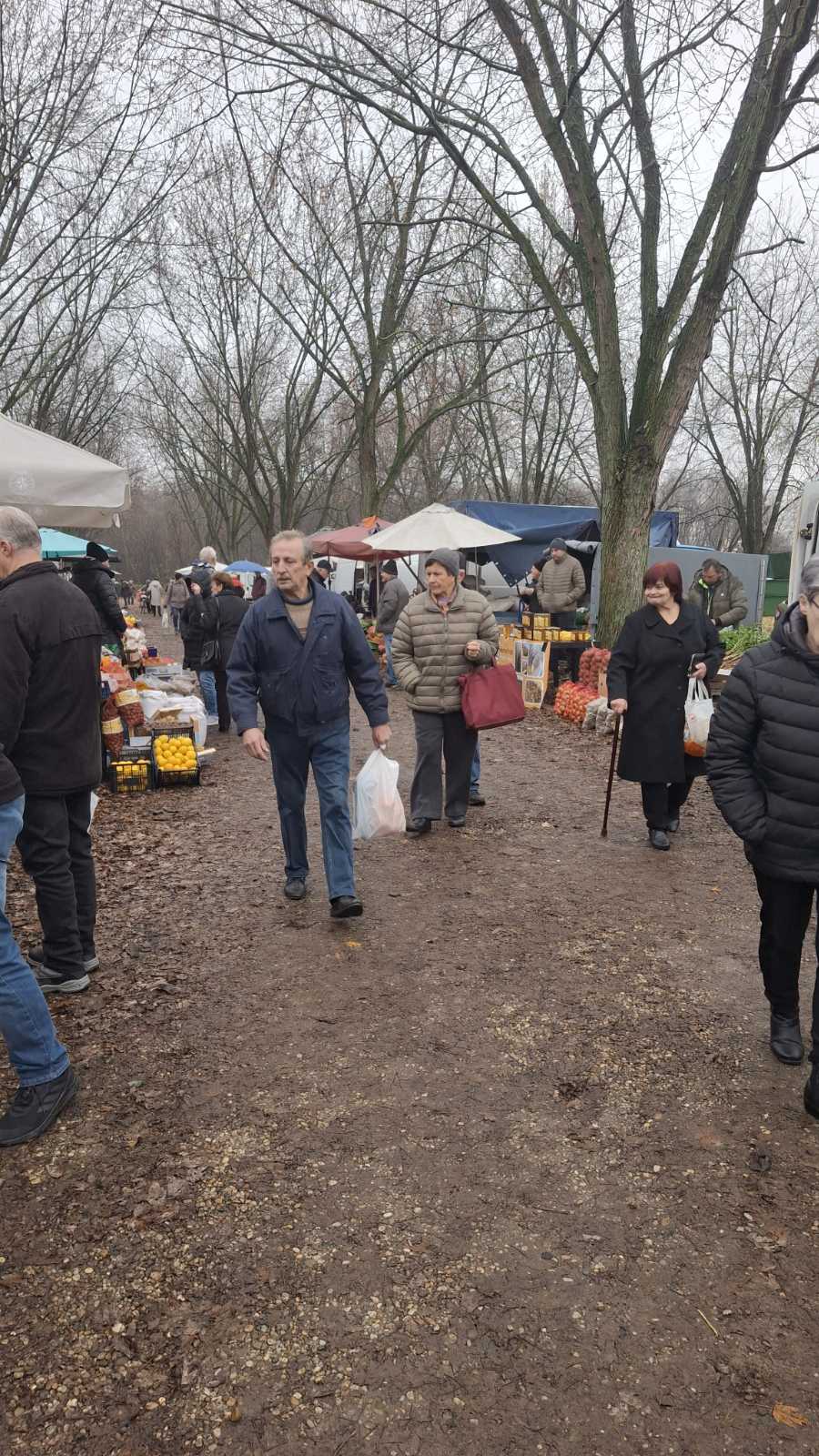 studeni sajam srijedom (18) studeni sajam srijedom (18)