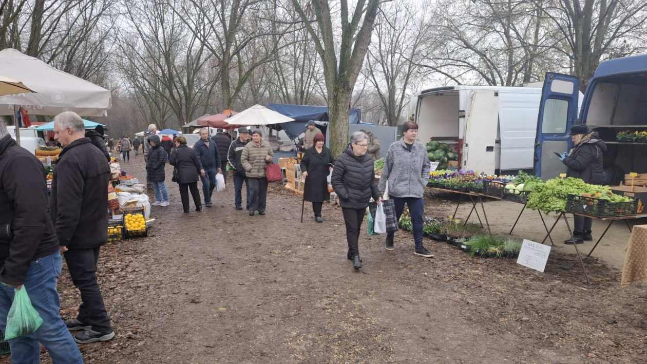 studeni sajam srijedom (19)