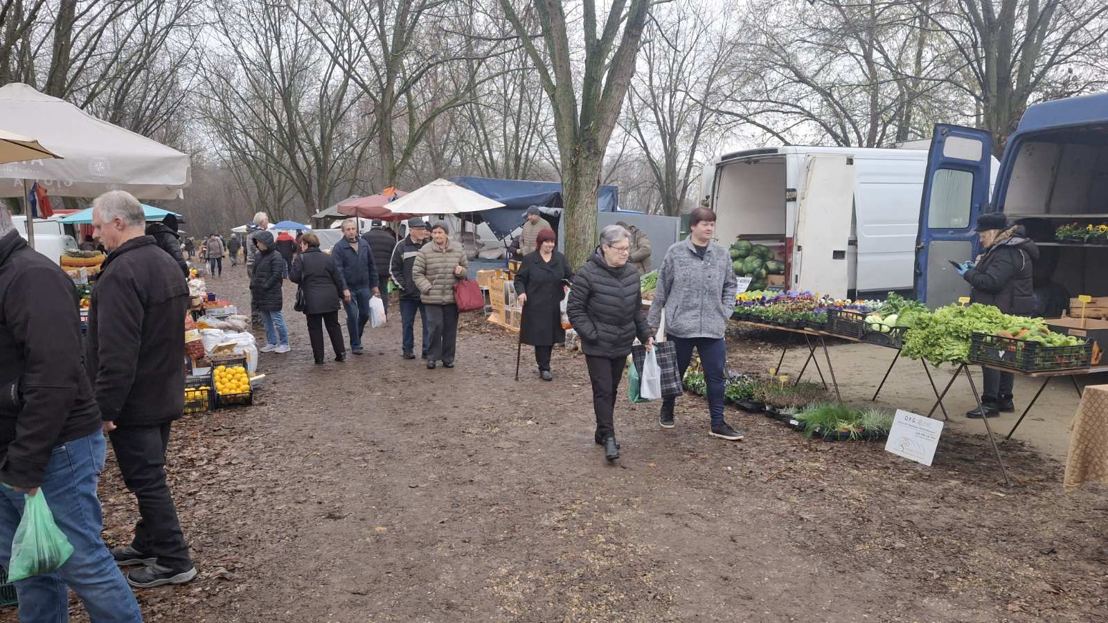 studeni sajam srijedom (19) studeni sajam srijedom (19)