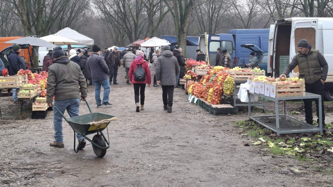 studeni sajam srijedom (2)