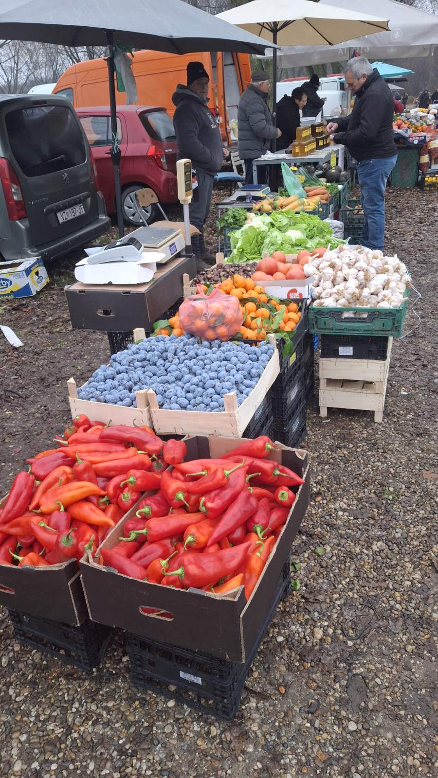 studeni sajam srijedom (21) studeni sajam srijedom (21)