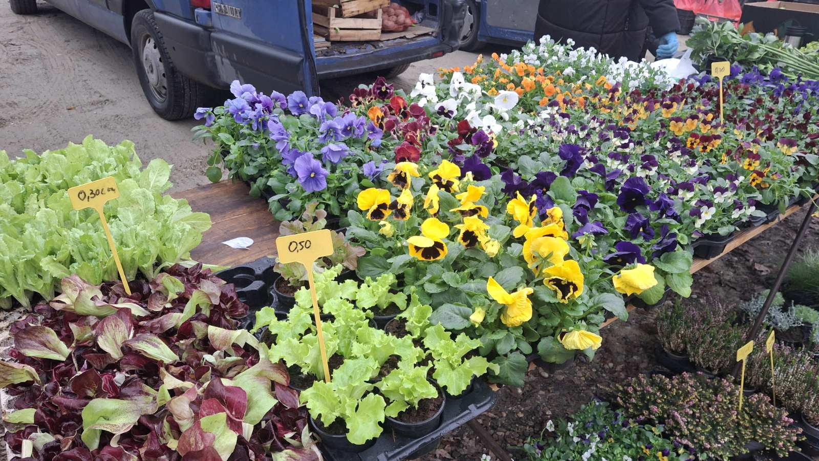 studeni sajam srijedom (23) studeni sajam srijedom (23)