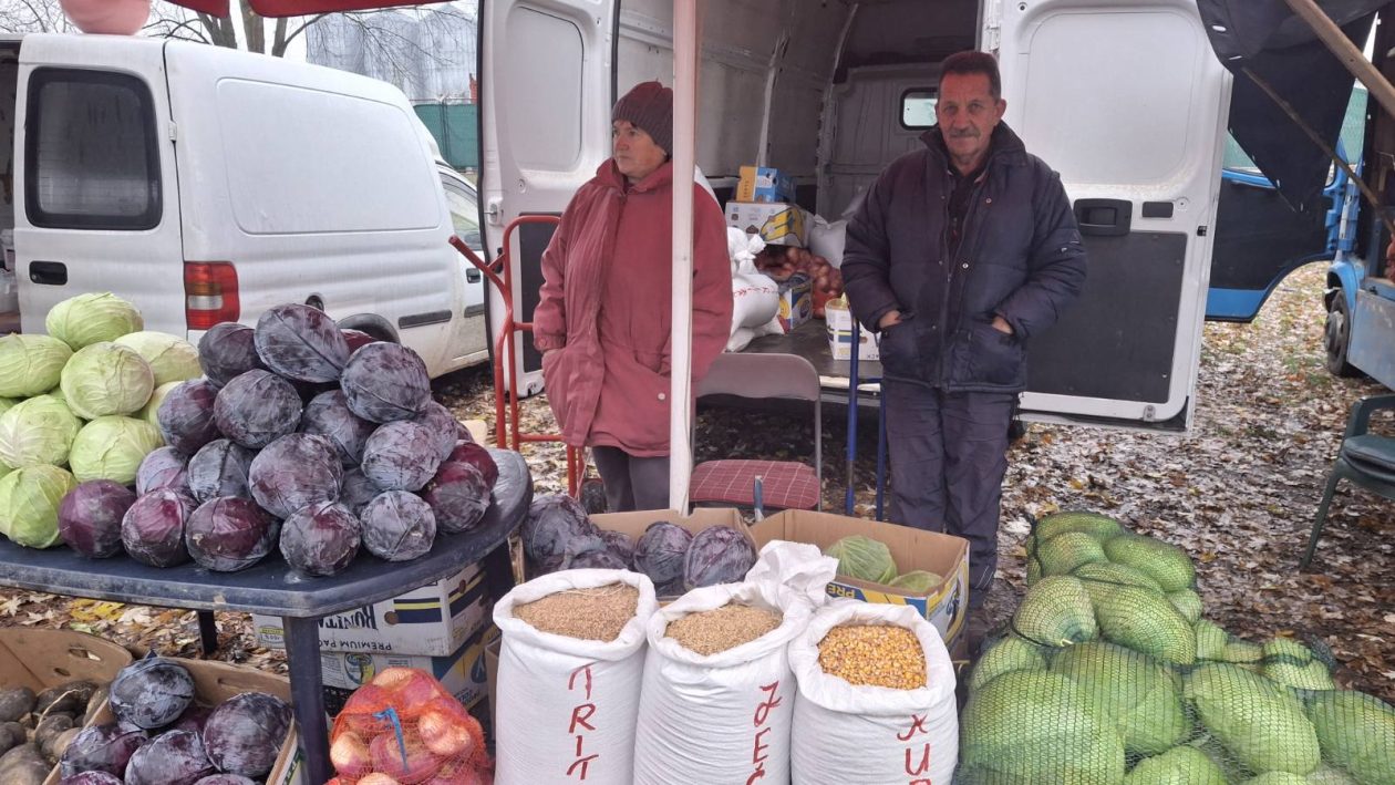 studeni sajam srijedom (29)