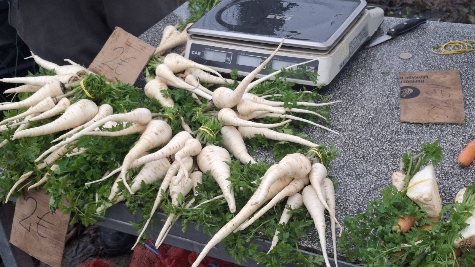 studeni sajam srijedom (3) studeni sajam srijedom (3)