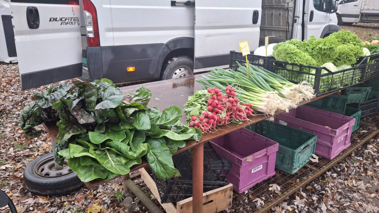 studeni sajam srijedom (33) studeni sajam srijedom (33)