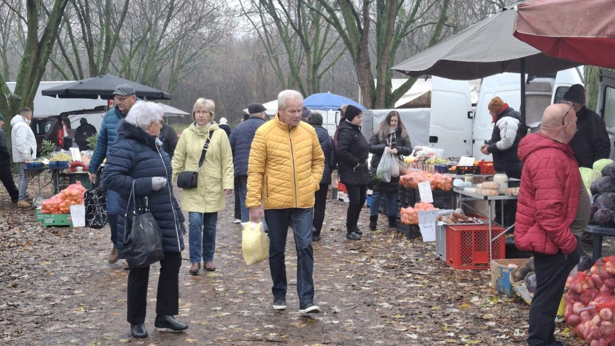 studeni sajam srijedom (34)