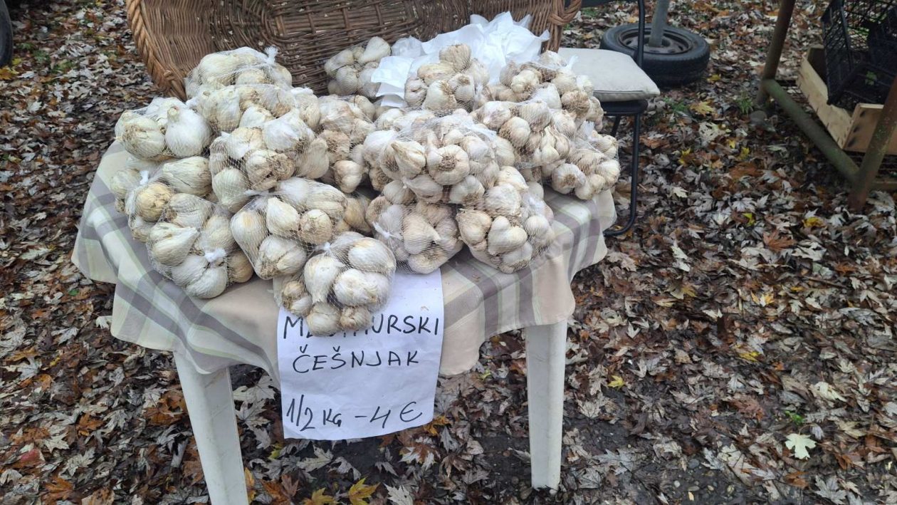 studeni sajam srijedom (37)