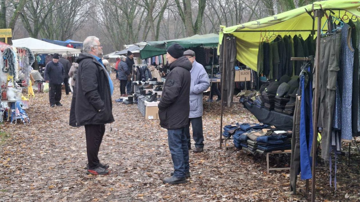 studeni sajam srijedom (39)